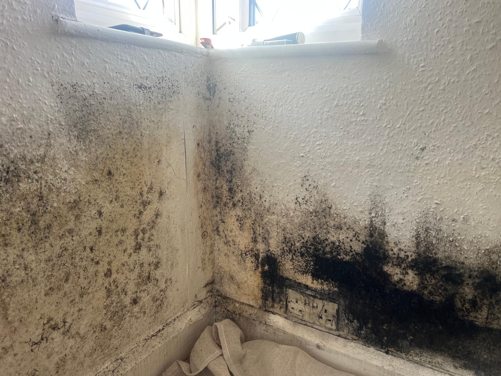 Mould 2